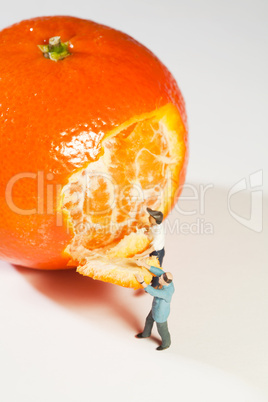 Miniatur Arbeiter schälen eine Orange