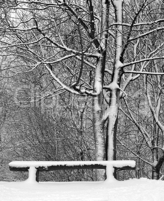 City park after night snow storm