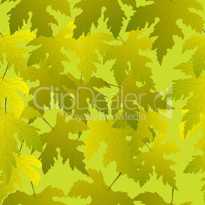 Grape leaves seamless pattern