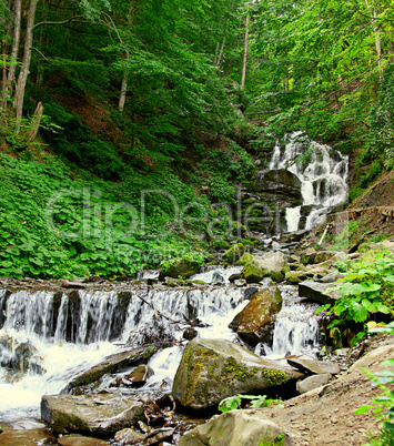 Cascade falls over mossy rocks