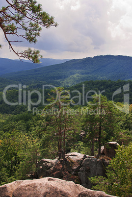 Beautiful green mountain landscape with trees in Carpathians