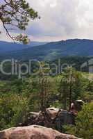 Beautiful green mountain landscape with trees in Carpathians