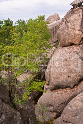 Beautiful green mountain landscape with trees in Carpathians