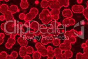 Healthy blood cells.