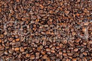 Coffee beans