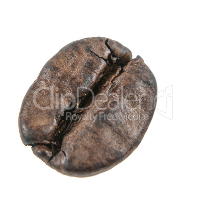 The one coffee bean on a white background