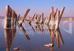 Landscape old rotten columns in lake