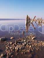 Landscape old rotten columns in lake