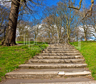 Green grass and steps against blue sky in early spring