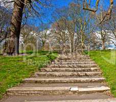 Green grass and steps against blue sky in early spring