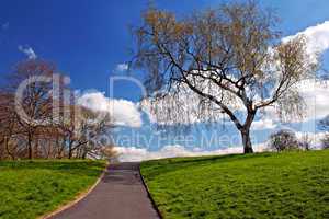 Green grass and pathway against blue sky in early spring