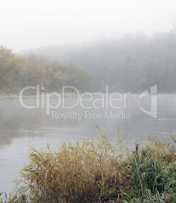 Autumn mist in river