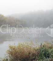 Autumn mist in river