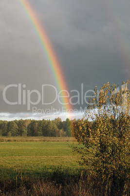 Autumn rainbow