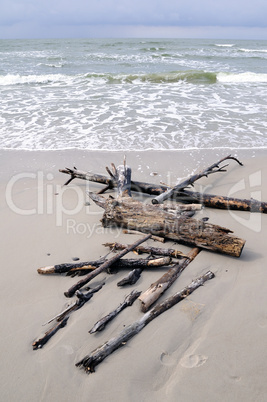 Baltic sea beach