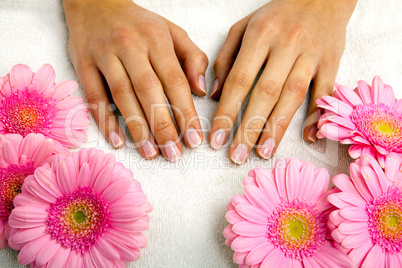 feminin hands with a treatment doing a manicure closeup