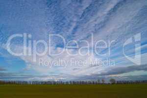 Green field under cloudy sky