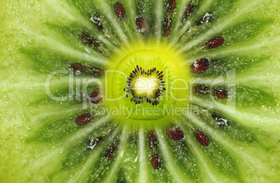 Kiwi Fruit