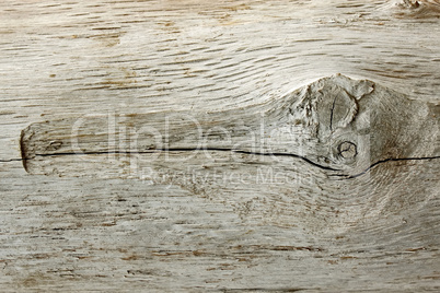 Detail of old wooden log