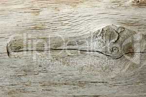 Detail of old wooden log