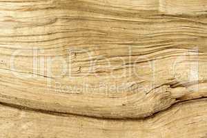 Broken log as a texture