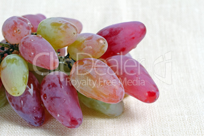ripe grape ripe grape