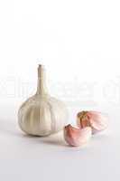 garlic in detail