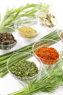 spices assortment