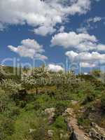 Landschaft in der Nähe von Armungia im Südosten Sardiniens