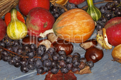 Herbstfrüchte, Cucurbita, Zierkürbis, Kastanien, Weintrauben, Äpfel - Autumn fruits, pumpkins, chestnuts, grapes, apples