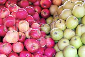 bunch of red and green apples closeup