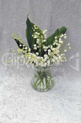 Lily of the Valley