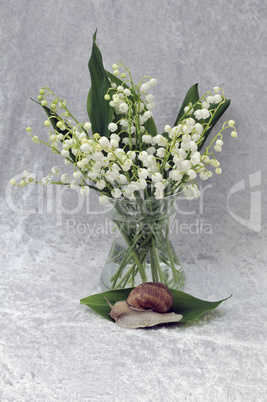 Lily of the Valley and snail