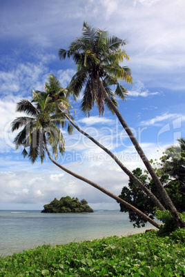 Green grass and island