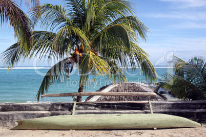 Coconut tree and boat
