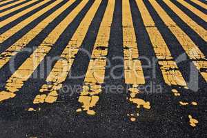 yellow stripe crosswalk