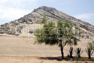 Mount and desert