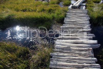 River and grass