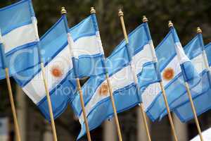 Argentinian flags