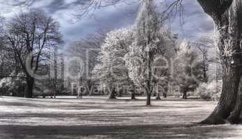 early Spring in Infrared