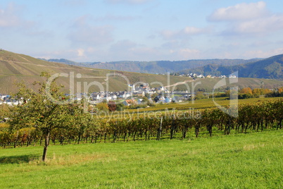 Kinheim und Kindel an der Mosel