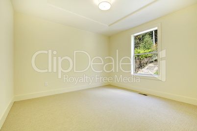 New bedroom interior with one window and carpet.