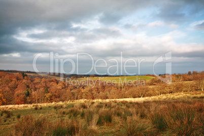 Beautiful Autumnal landscape in Scotland