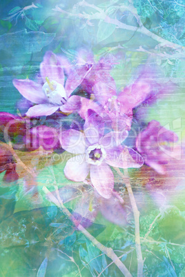 Natural flowers grunge beautiful, artistic background