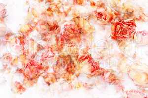 Dry roses beautiful, artistic background