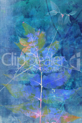 Beautiful blue grunge background with natural leaves in blue