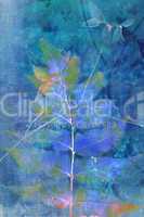 Beautiful blue grunge background with natural leaves in blue