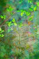 Natural leaves grunge beautiful, artistic background