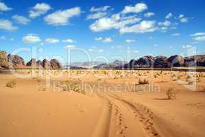 Desert Wadi Rum