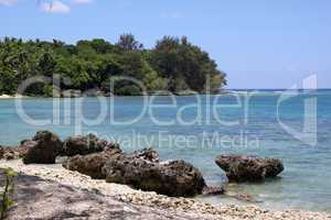 Corals on the beach